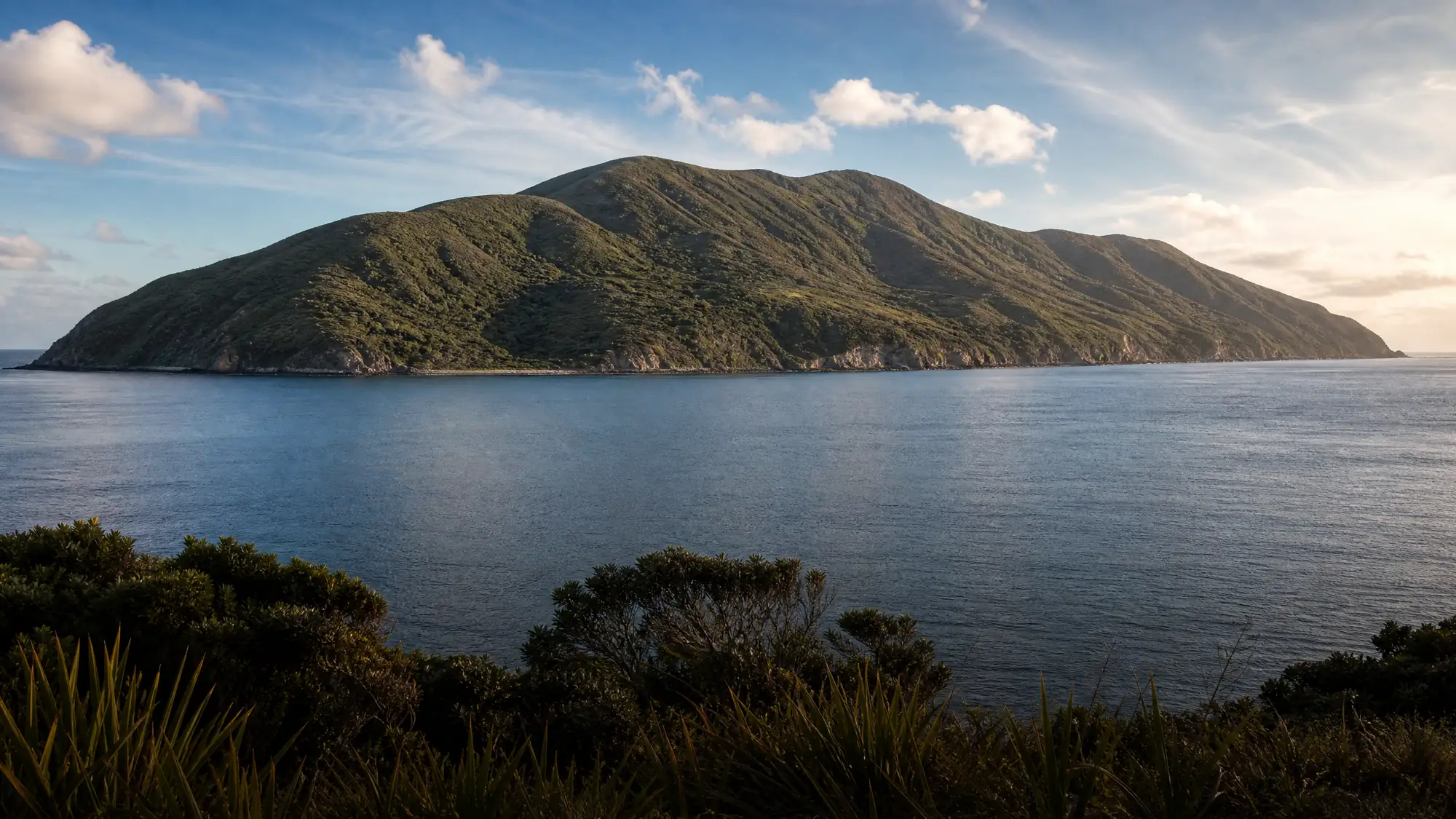 Kapiti Island ist ein raubtierfreies Naturschutzgebiet 5 km vor der Küste. Für den Zugang benötigen Sie eine Genehmigung des Department of Conservation und ein autorisiertes Fährticket.